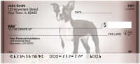 Boston Terrier Portraits Personal Checks