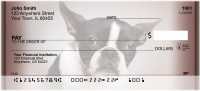 Boston Terrier Portraits Personal Checks | QBB-29