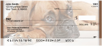 Boxer Fun Personal Checks | QBB-30