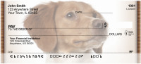 Bright Eyed Brittany Spaniel Personal Checks | QBB-32