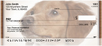 Bright Eyed Brittany Spaniel Personal Checks | QBB-32