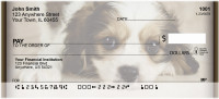 Cavachon Puppy Personal Checks