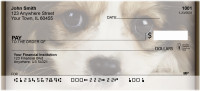 Cavachon Puppy Personal Checks | QBB-36