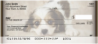 Cavachon Puppy Personal Checks | QBB-36