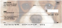 Cavalier St. Charles Personal Checks | QBB-37