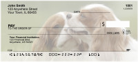 Cavalier St. Charles Personal Checks | QBB-37