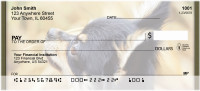 Chihuahua Field Day Personal Checks | QBB-38
