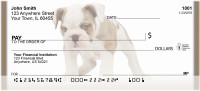 English Bulldogs Personal Checks | QBB-51