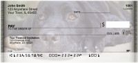 Black Labs Personal Checks | QBB-66