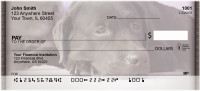 Chocolate Labrador Retrievers Personal Checks | QBB-67