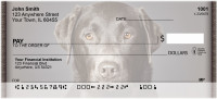 Chocolate Labrador Retrievers Personal Checks | QBB-67