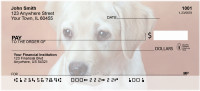 Yellow Labrador Puppies Personal Checks | QBB-73