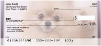 Pomeranian Spitz Personal Checks | QBB-83