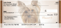 Yorkie Transformation Personal Checks | QBC-02