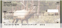 Rocky Mountain Elk In Fall Personal Checks | QBC-24