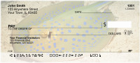 Stingrays Personal Checks | QBC-44