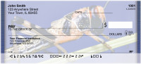 Grasshoppers Personal Checks | QBC-77