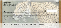 Jaguar Big Cats Personal Checks | QBC-80