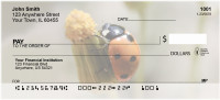 Ladybug Garden Personal Checks | QBC-87