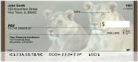 Lions Up Close Personal Checks | QBC-99