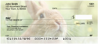 Bunny Springtime Personal Checks