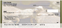Horned Toad Personal Checks