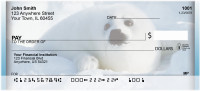 Baby Seals Personal Checks | QBD-28