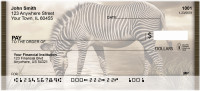 Zebra Fantasies Personal Checks | QBD-46