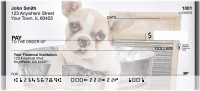 Boxer Bathtime Personal Checks | QBR-33