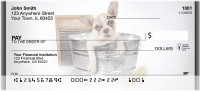 Boxer Bathtime Personal Checks | QBR-33
