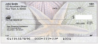 Seashells By The Seashore Personal Checks | SCE-63