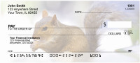Squirrel Antics Personal Checks | ZANJ-73