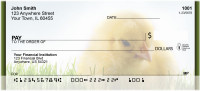 Spring Chicks Personal Checks | ZANK-13