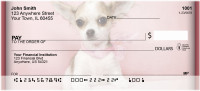 Chihuahuas Personal Checks
