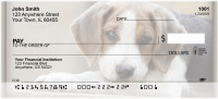 Beagles Personal Checks | ZDOG-12