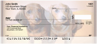 Dachshund Puppies Personal Checks | ZDOG-16