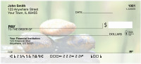 In Balance Personal Checks | ZWIS-02