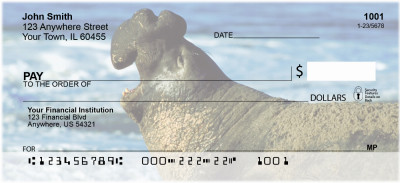 Elephant Seals and Sea Lions Personal Checks | ANI-70