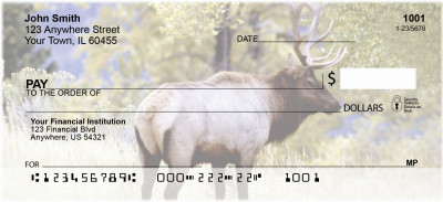 Elk in the High Country | ANI-72