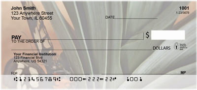 Terracotta Butterfly Personal Checks | ANK-08
