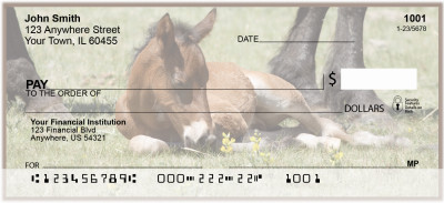 Colts Personal Checks | ANK-47