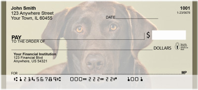 Chocolate Lab Alert Personal Checks | BBB-08
