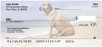 Beach Lab Personal Checks | BBB-10