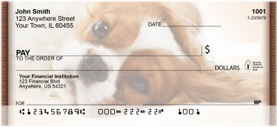Cavalier King Charles Portraits | BBI-23