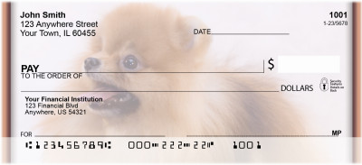 Playful Pomeranians | BBI-25