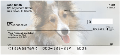 Shetland Sheep Dog | BBI-28