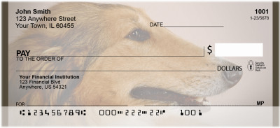 Adorable Collies | BCA-60