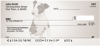 Bull Terriers | BCA-65