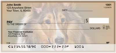 Loyal Collies | BCA-73