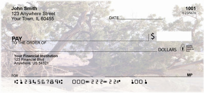 Cedar Trees | BCE-47